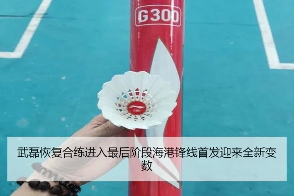 武磊恢复合练进入最后阶段海港锋线首发迎来全新变数 - Leyu