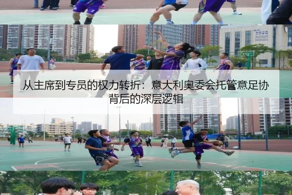 从主席到专员的权力转折：意大利奥委会托管意足协背后的深层逻辑 | Leyu